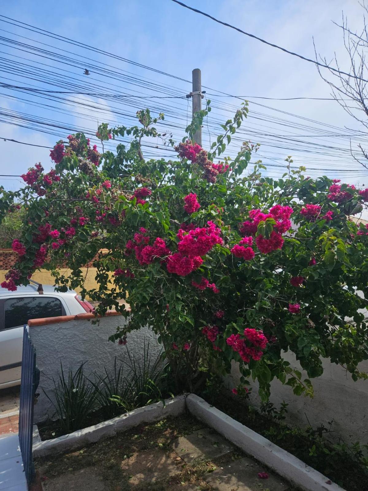 Casa De Temporada Em Figueira - Arraial Do Cabo - Casa 5 Villa Екстериор снимка